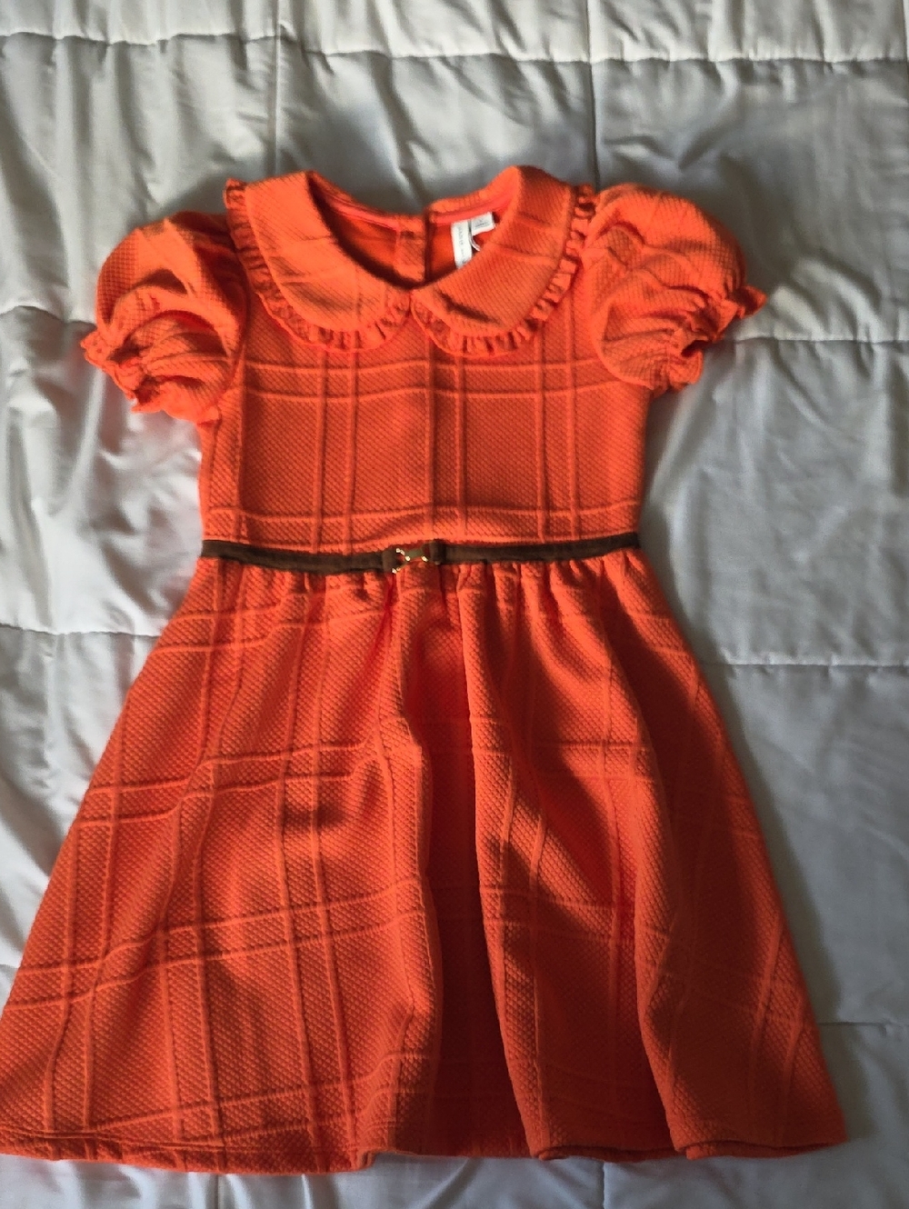 Janie and Jack Orange Textured Peter Pan Collar Dress with Belt